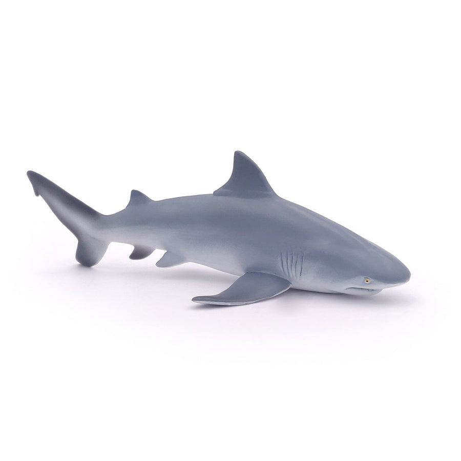Bull shark