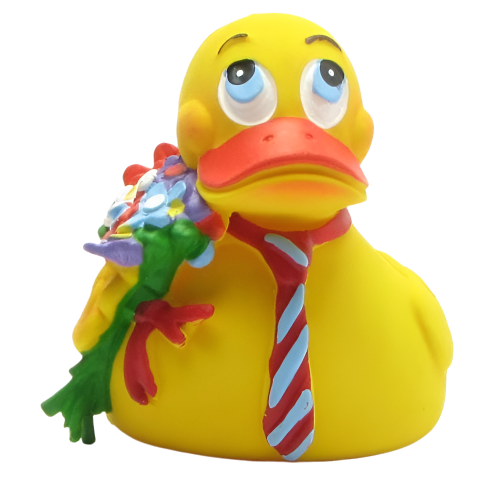 Romantic Duck