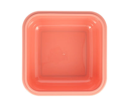 Large Wild Fairies Lunch Box