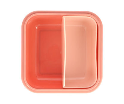 Large Wild Fairies Lunch Box