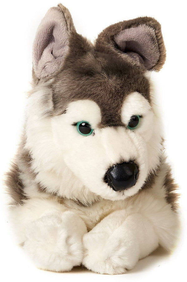 Husky couché - 40 cm (longueur) - doudin/peluche Uni Toys