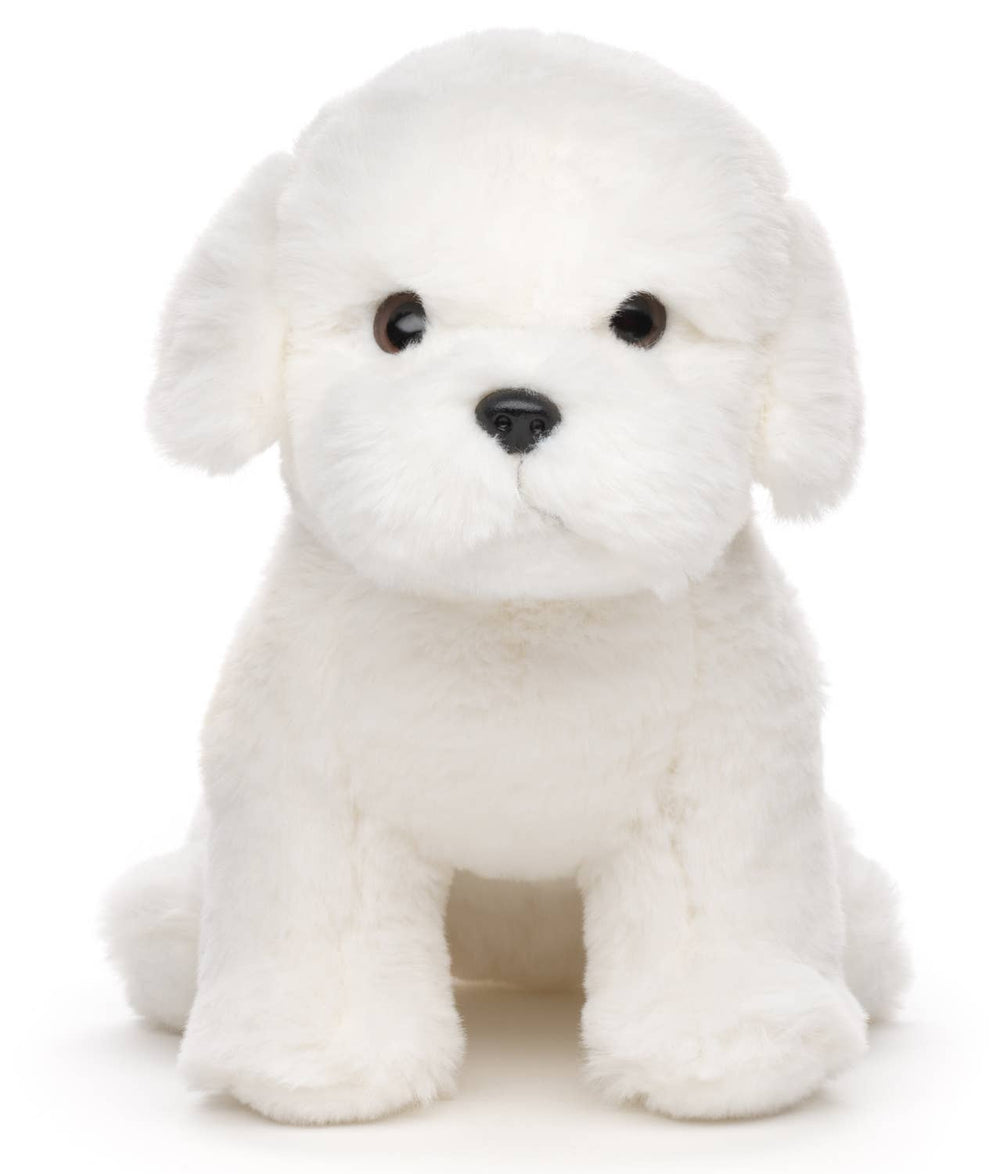 Peluche Chien Maltais sans Laisse