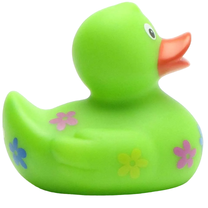 Floral Duck