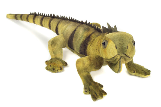 Iguana Plush