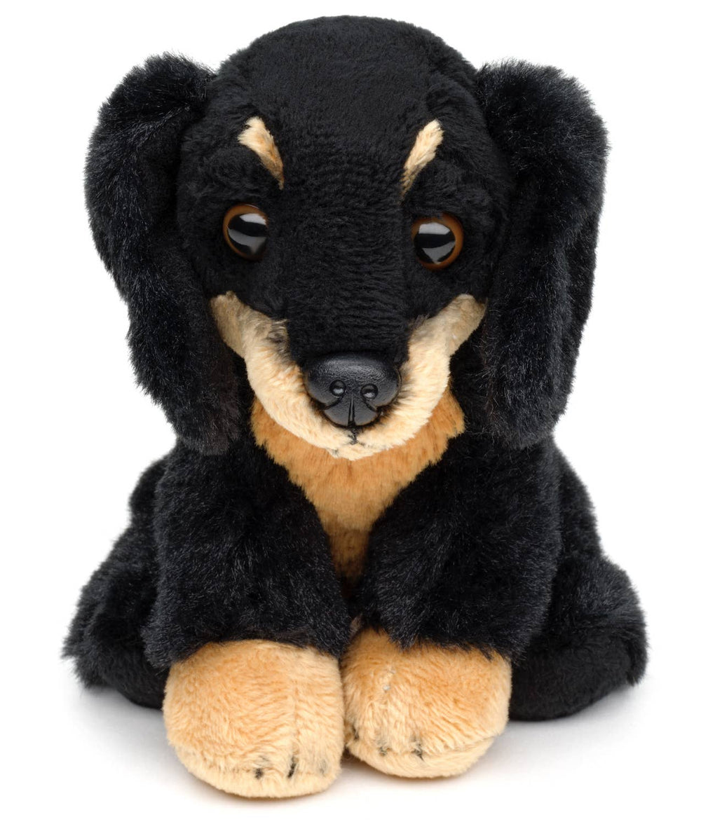 Peluche Teckel, Assise, 13 cm (Hauteur)