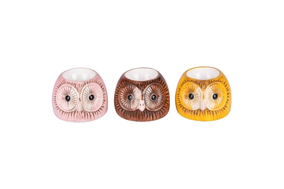 OWL EGGHOLDER 3 ASST - 5921475