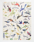 Torchon Oiseaux