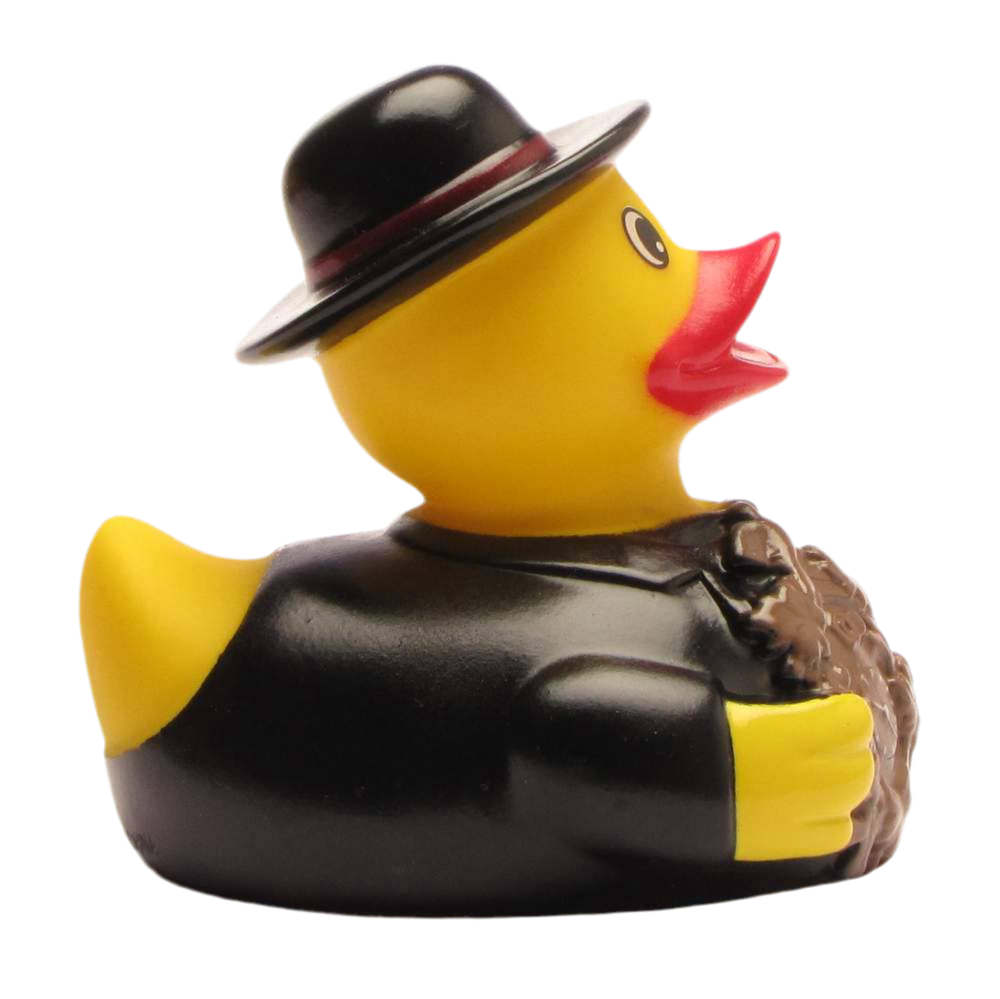Zwarte Woud Eend Man