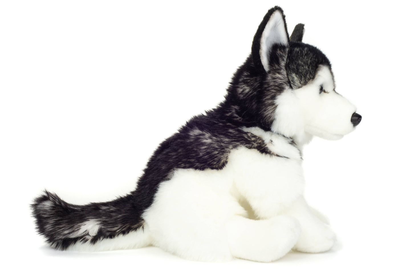 Peluche Husky assis
