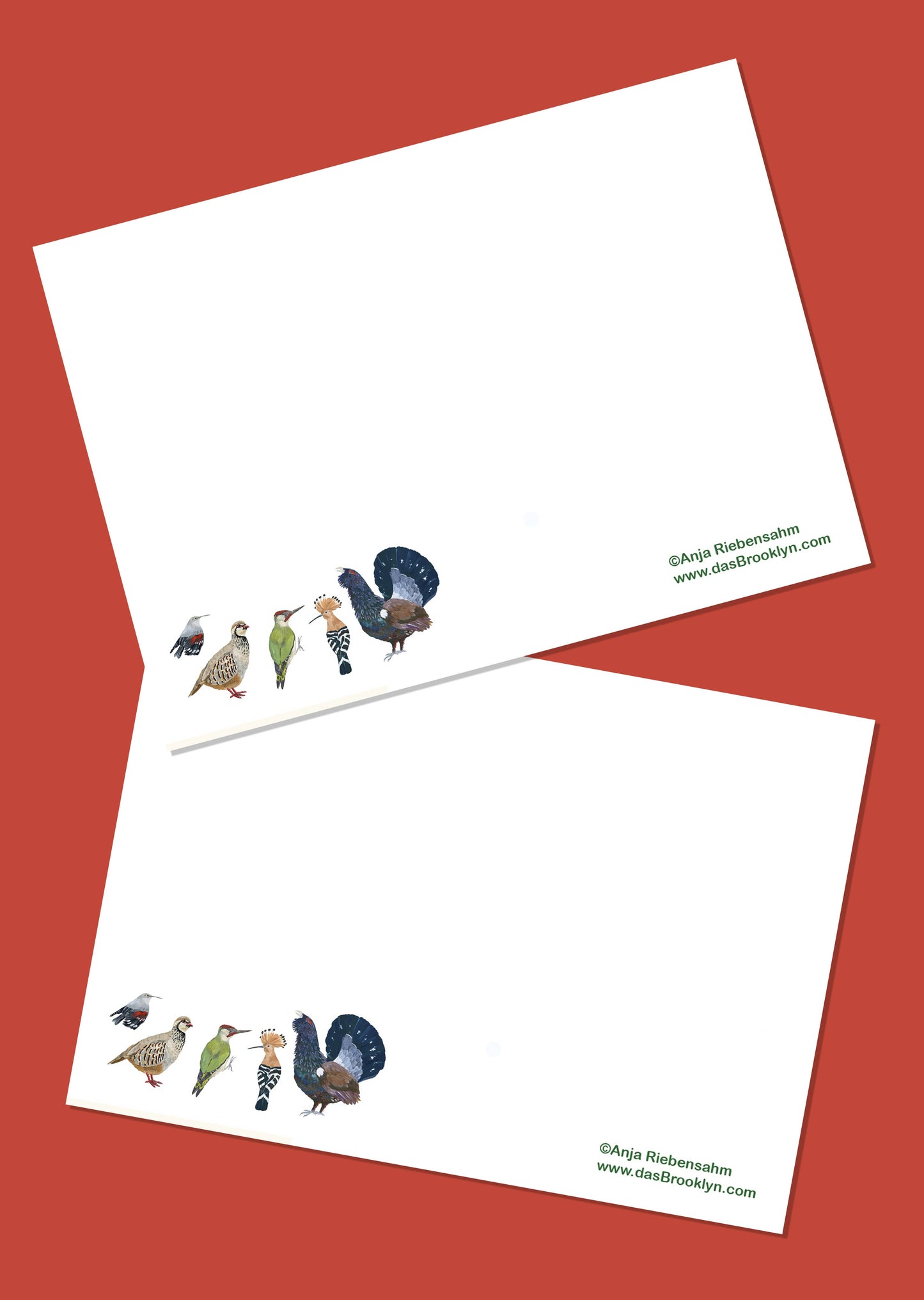 Carte postale Canards d'Espagne