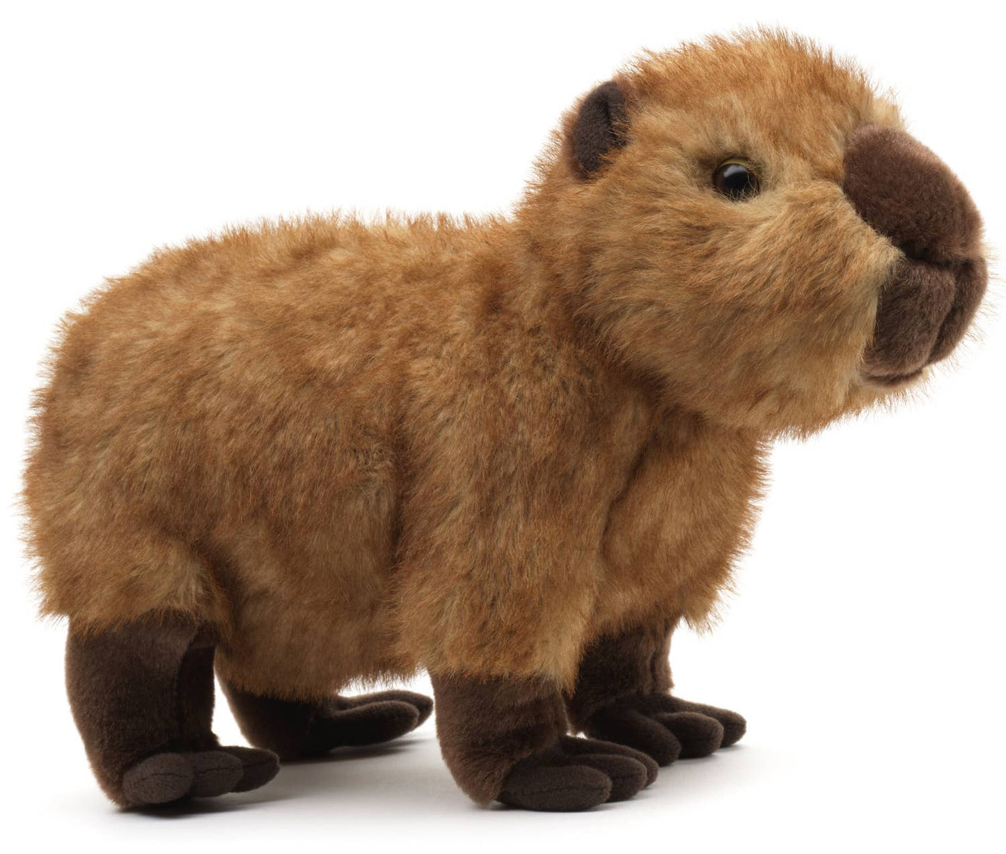 Capybara plush toy, standing
