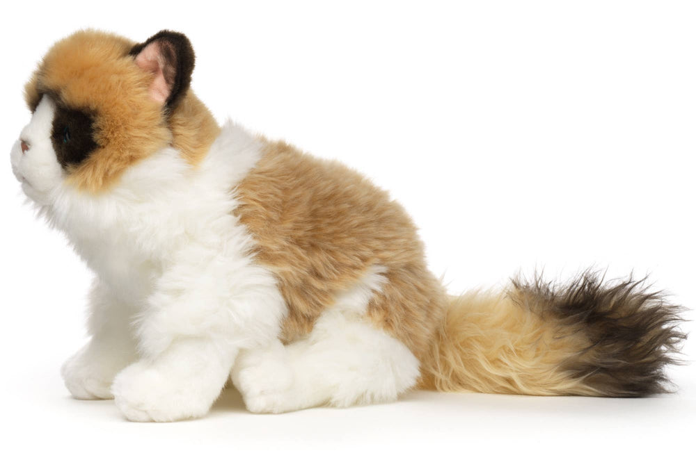 Chat Ragdoll - 35 cm (longueur) - peluche