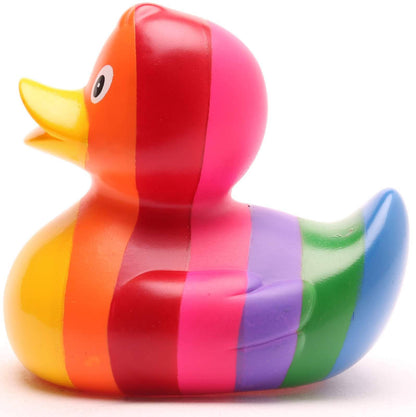 Rainbow Duck