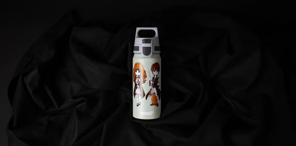 WMB ONE Kids Harry Potter Stand Together 0.6 L Water Bottle 