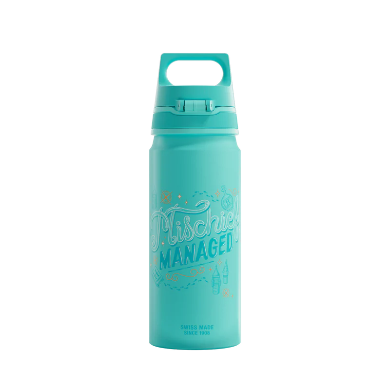 WMB ONE Kids Harry Potter 0.6 L Water Bottle 