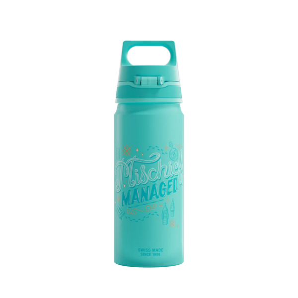 WMB ONE Kids Harry Potter 0.6 L Water Bottle 