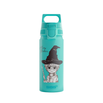 WMB ONE Kids Harry Potter 0.6 L Water Bottle 