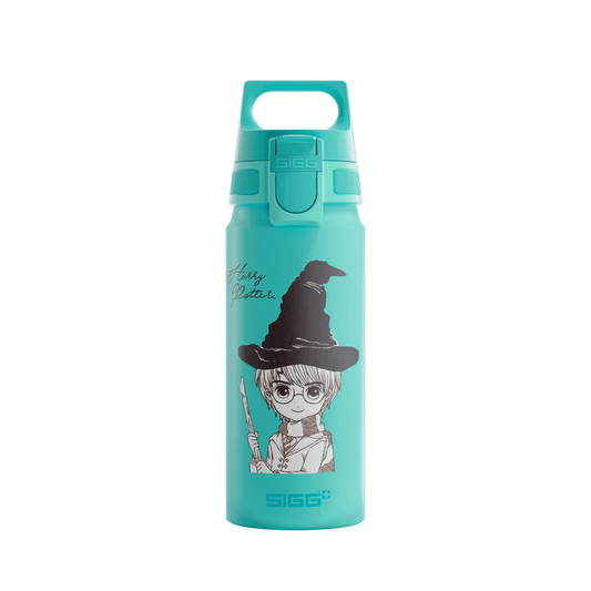 WMB ONE Kids Harry Potter 0.6 L Water Bottle 