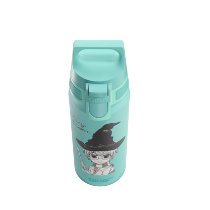 WMB ONE Kids Harry Potter 0.6 L Water Bottle 