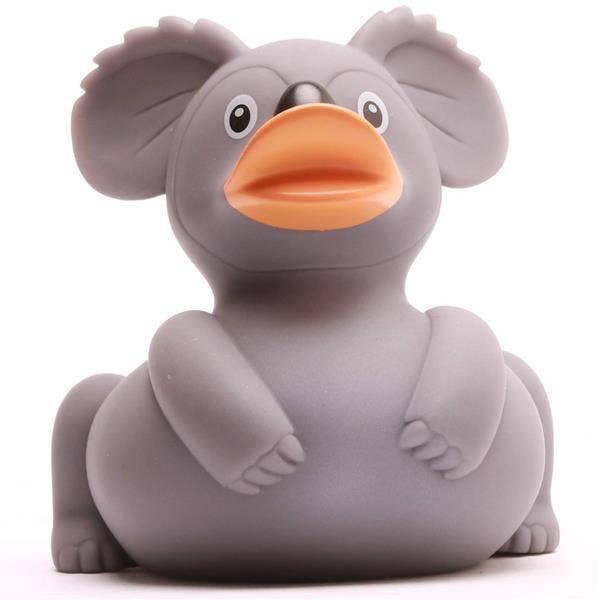 Canard koala