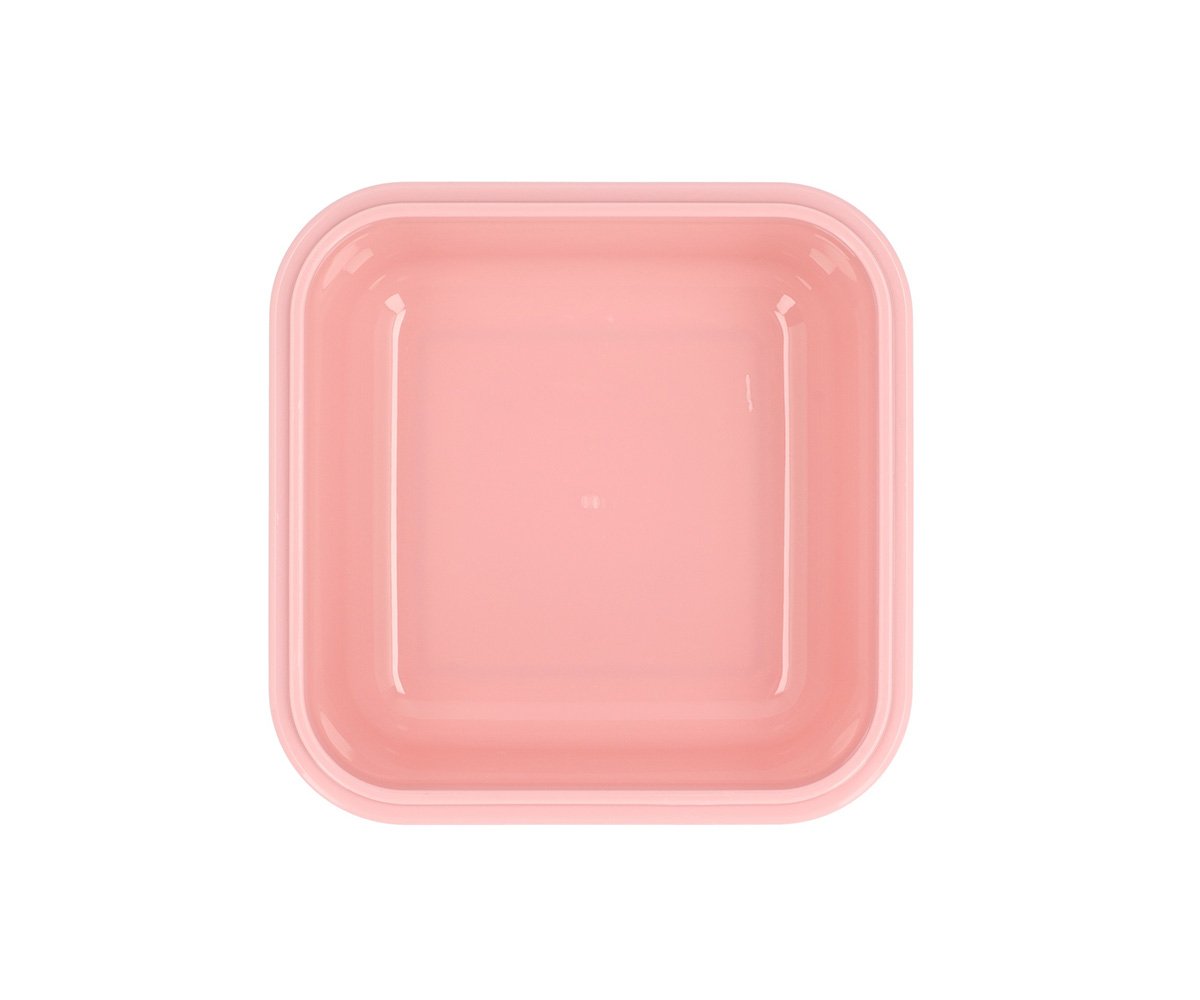 Insect Lunch Box