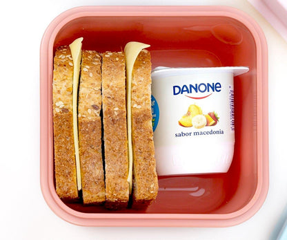 Grande Boîte à Déjeuner Amis des Animaux