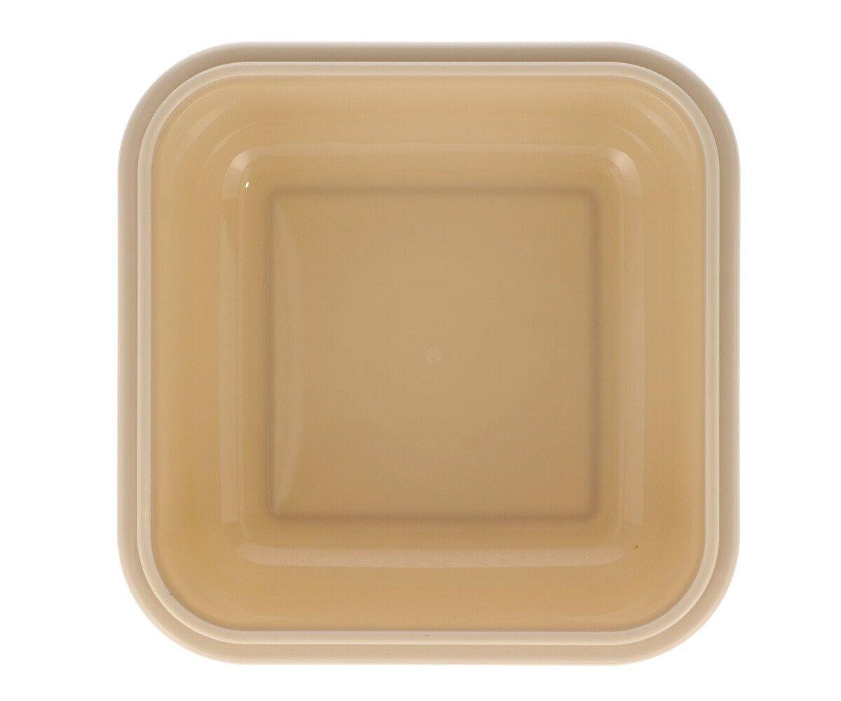 Grande Boîte à Déjeuner Amis des Animaux