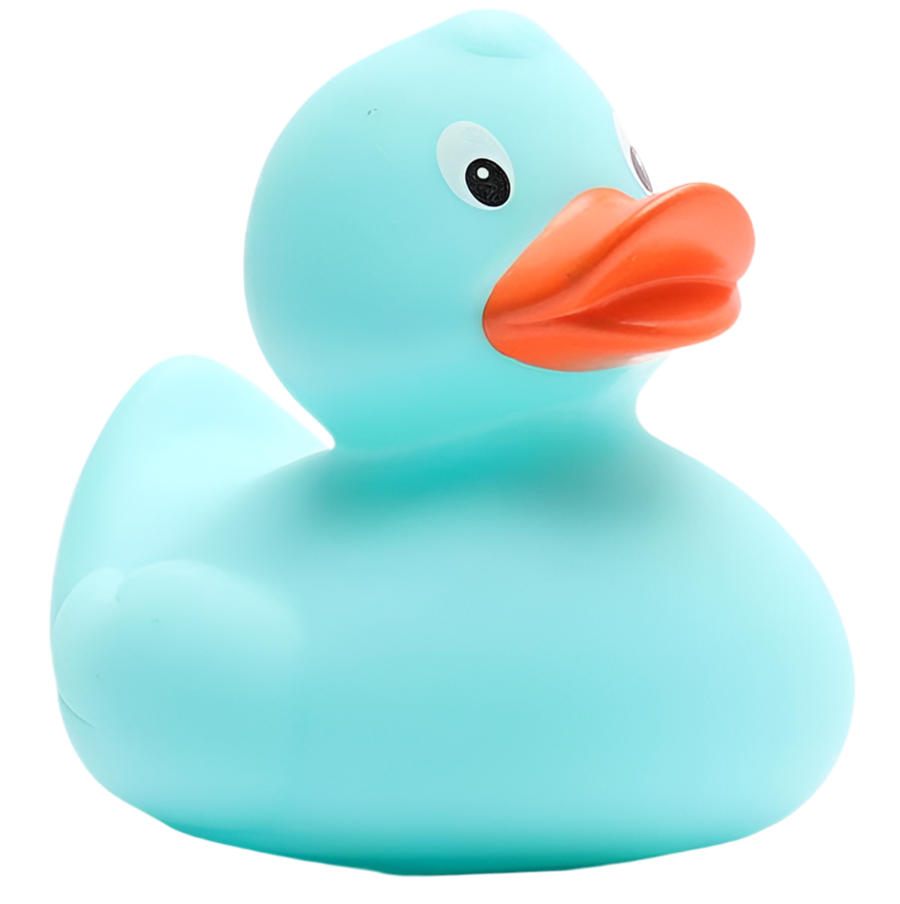 Canard Classique Bleu Clair