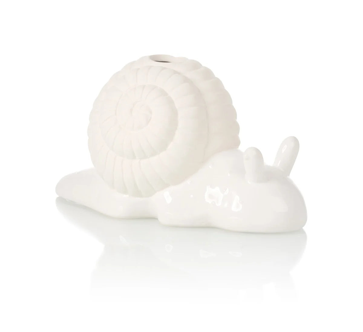 planteur de chia escargot bitten