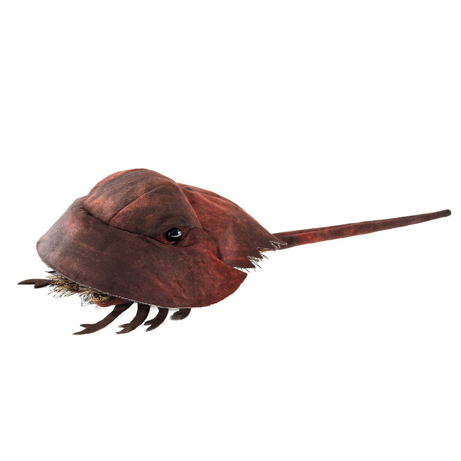 Limule