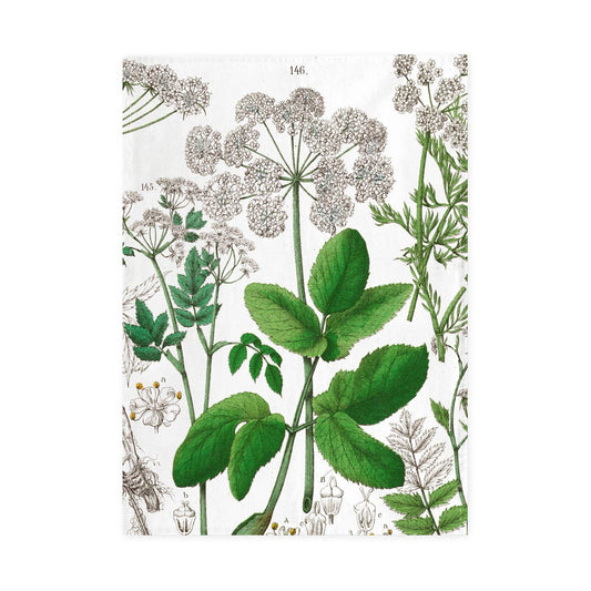 Hortus Botanicus Elderflower Tea Towel