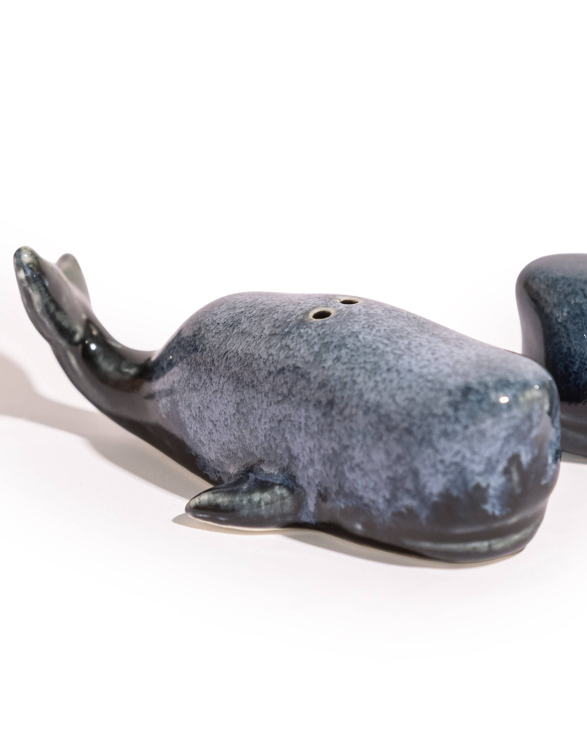 Salt and pepper Blue whale