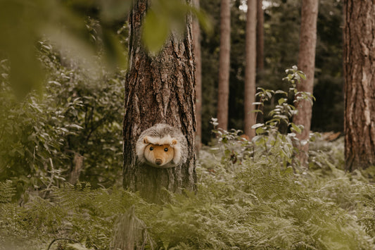 Jenna the Hedgehog Plush Wall Decoration