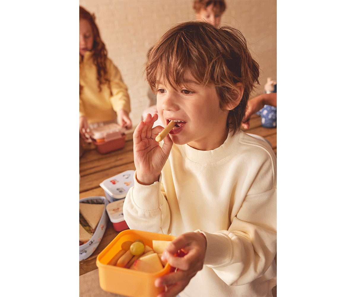 3 Geometric Nature Lunch Boxes