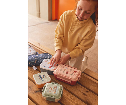 Geometrische natuur lunchbox