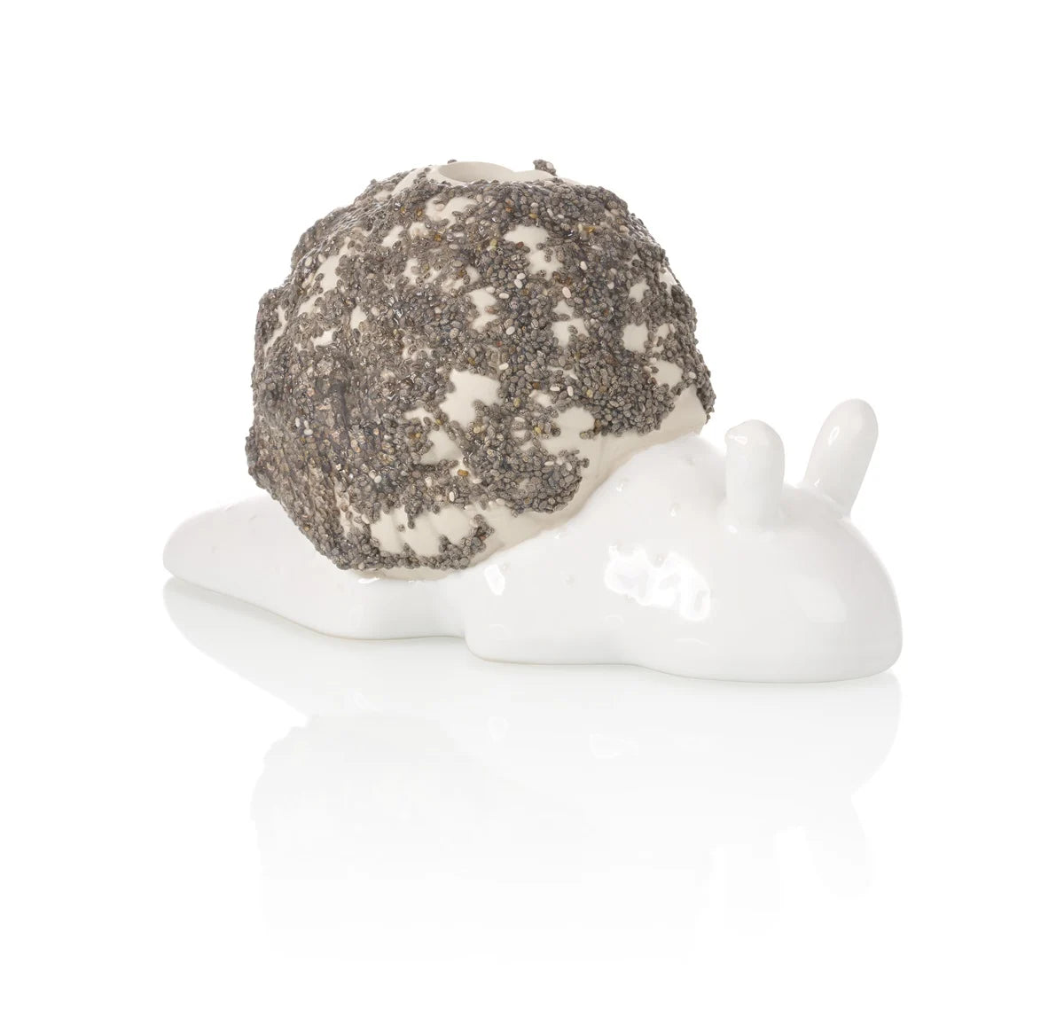 Chia Planter Snail 