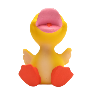 Canard Bébé