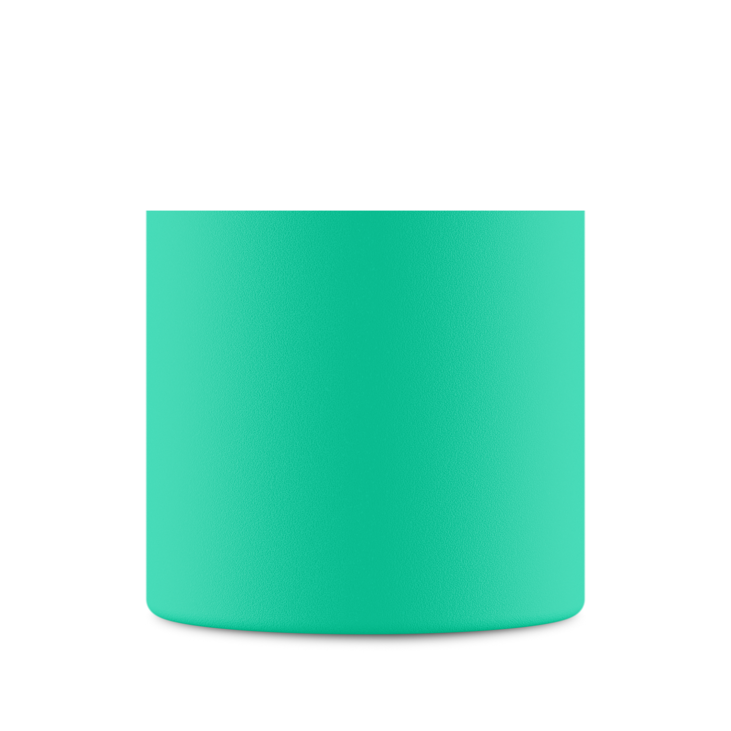 Clima Bottle | Mint - 500 ml