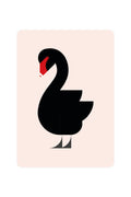 Carte Postale avec Black Swan
