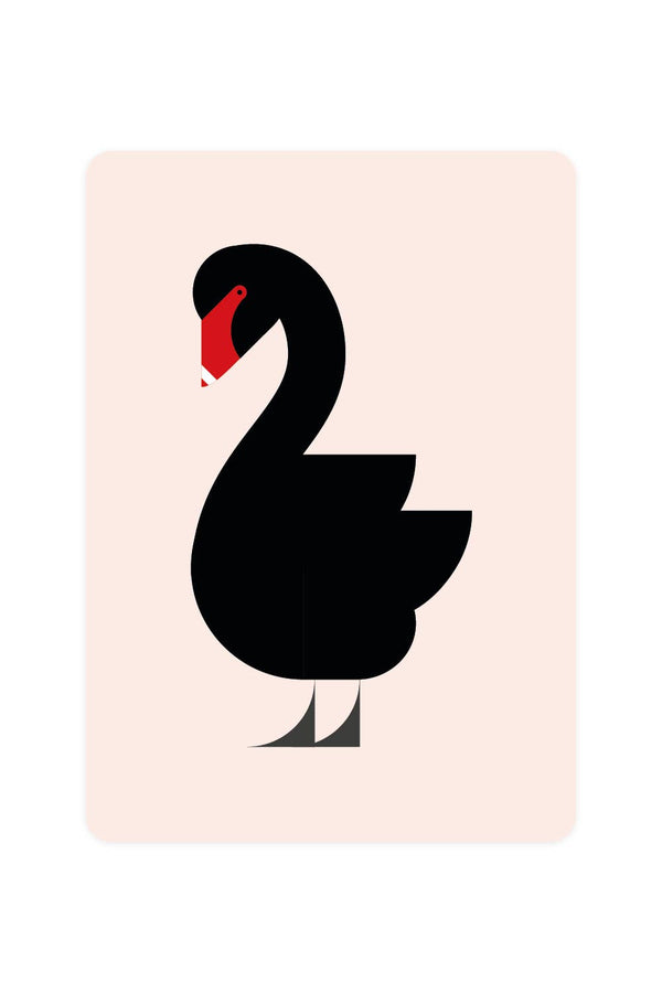 Postcard with Black Swan