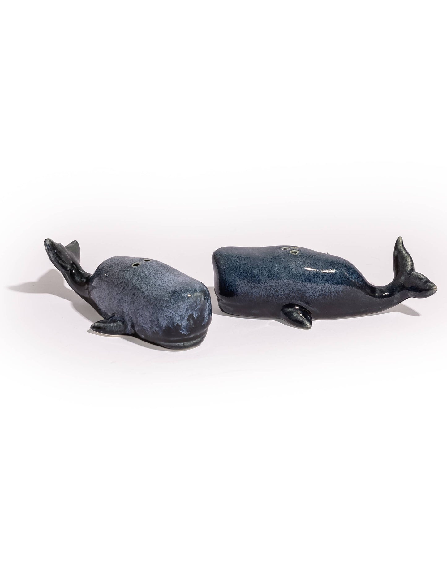 Salt and pepper Blue whale