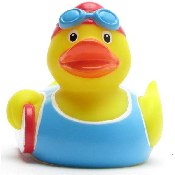 Swimming Duck
