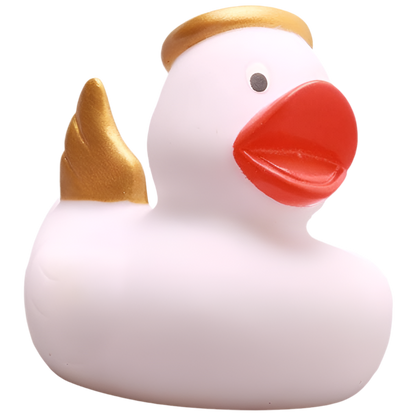 canard ange blanc