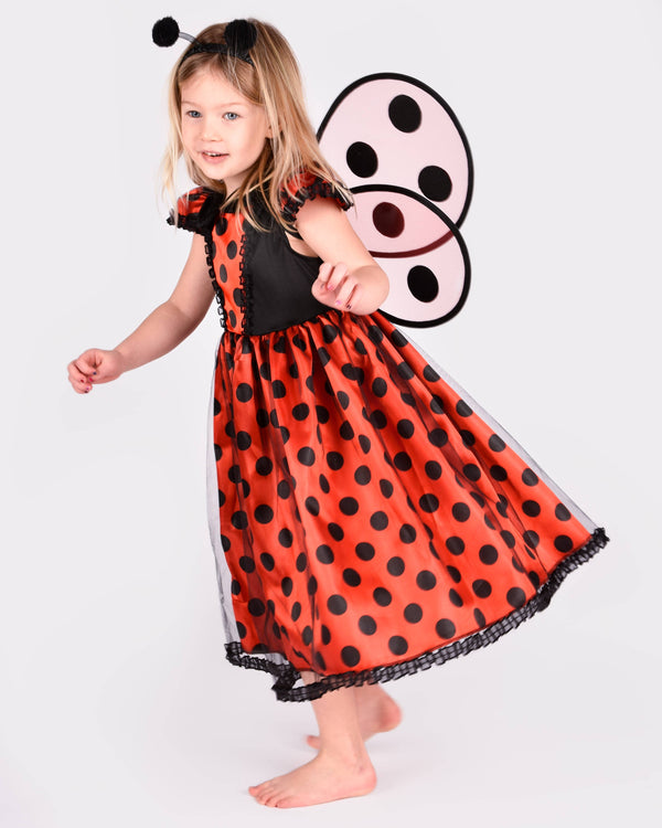 Ladybug dress with accessories for 2-4 years (size 98-104 cm)