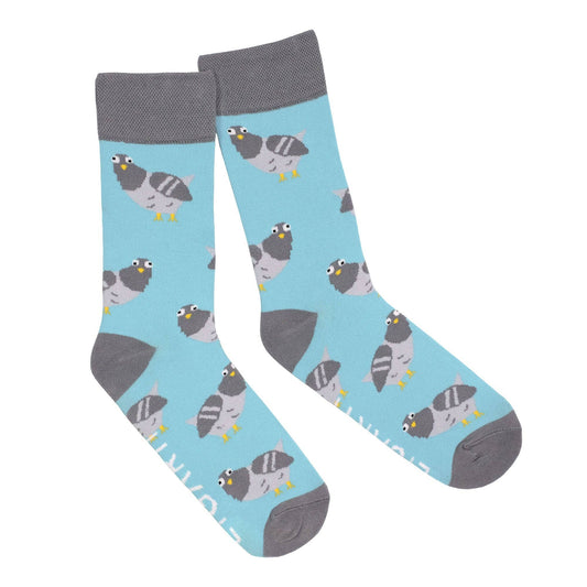 Socks – Claude the pigeon