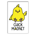 Meisjesmagneet