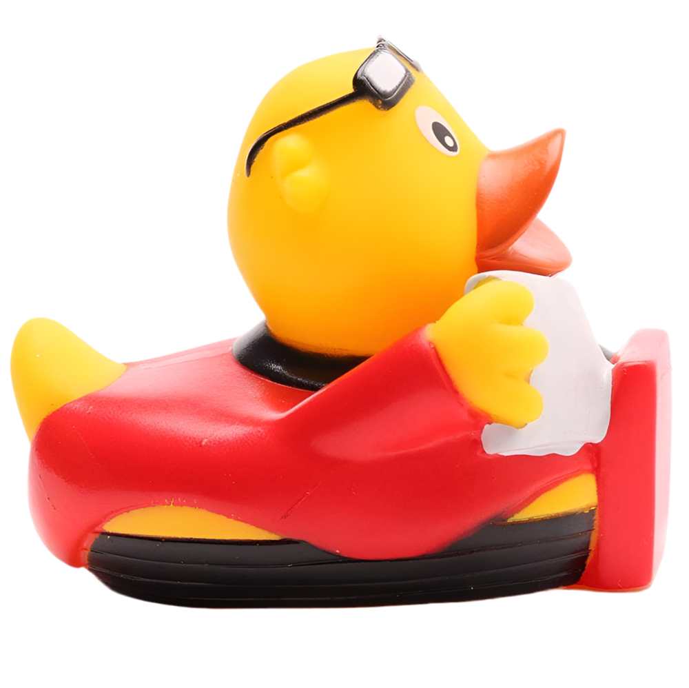 Canard Livreur de Pizzas