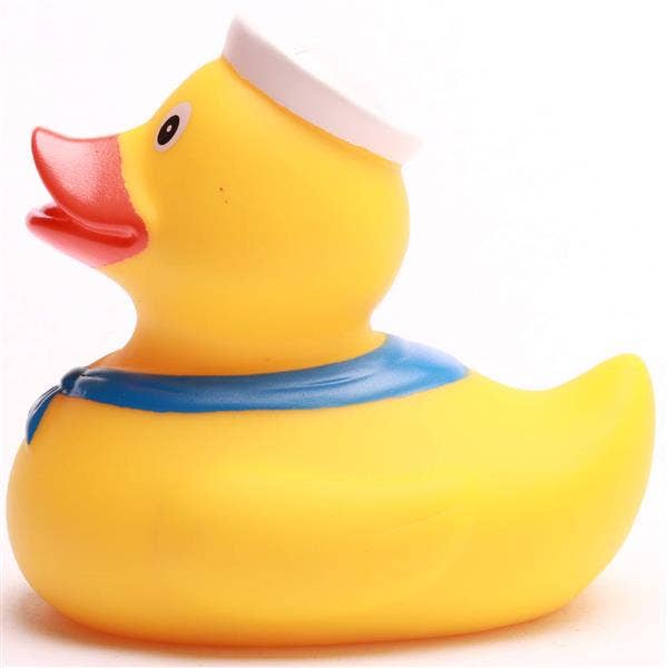 Sea Duck