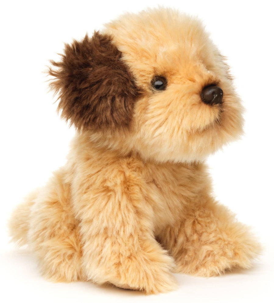 Shih-Poo