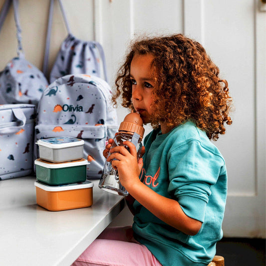 Bouteille en plastique Monde des Dinosaures